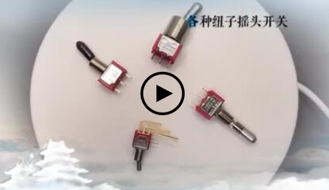 各種不同功能紐子搖頭開關